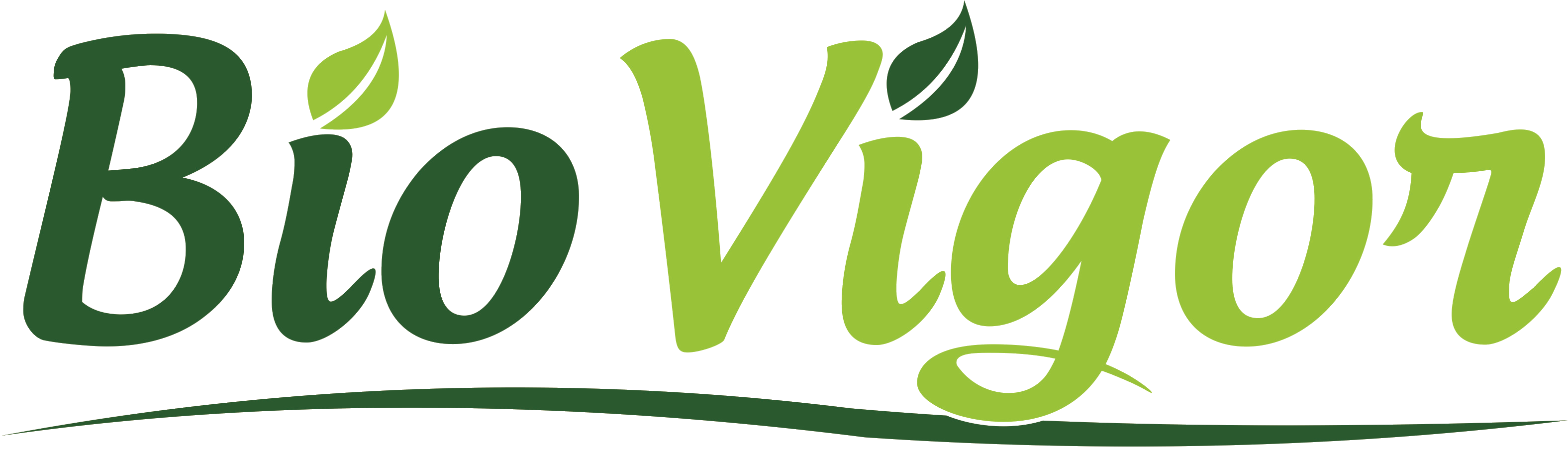 logo_biovigor2
